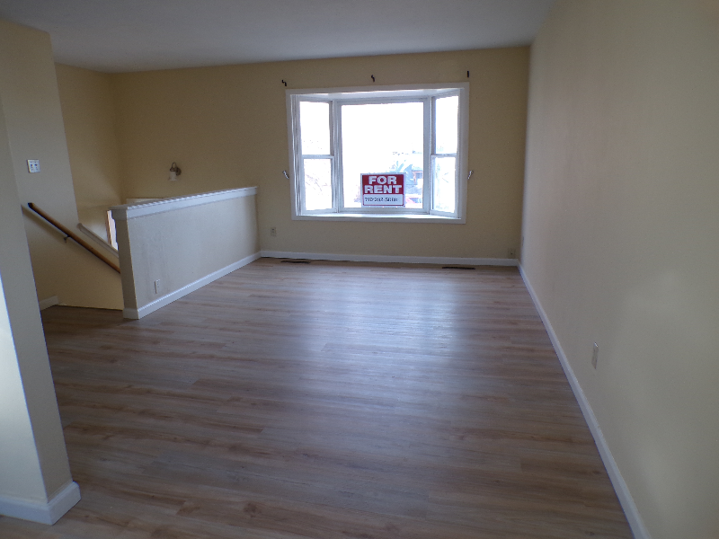 1308 Hartford St - Photo 4 of 20