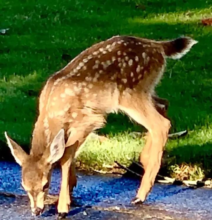 387 Aldridge Dr N - Photo 5 of 6