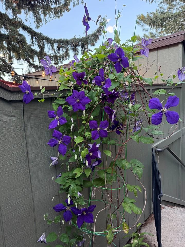 4602 Greenbriar Ct - Photo 2 of 20