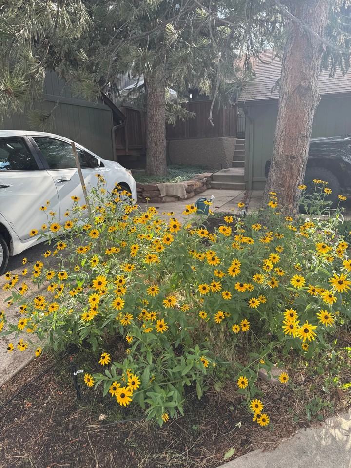 4602 Greenbriar Ct - Photo 5 of 20