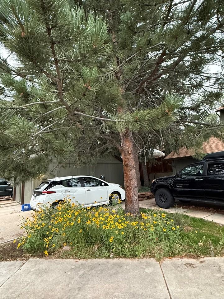 4602 Greenbriar Ct - Photo 6 of 20