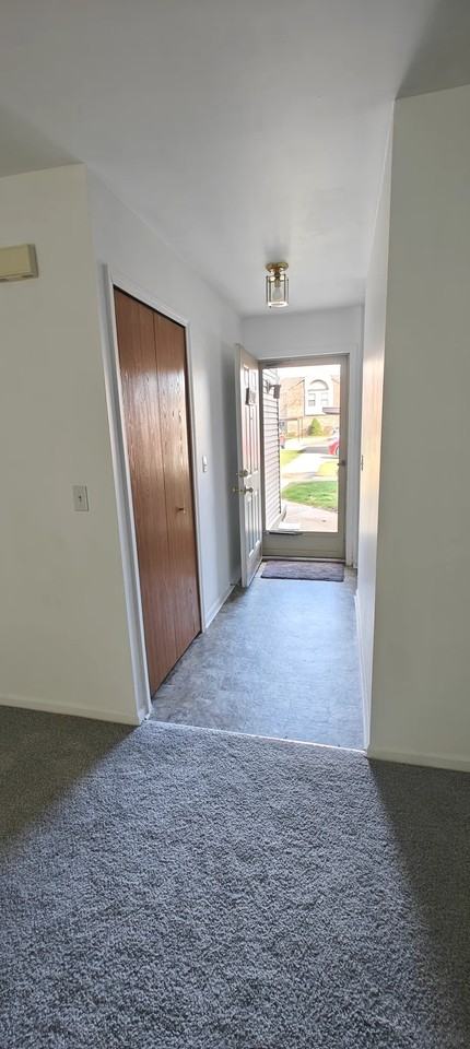 42714 Lilley Pointe Dr #213 - Photo 4 of 10