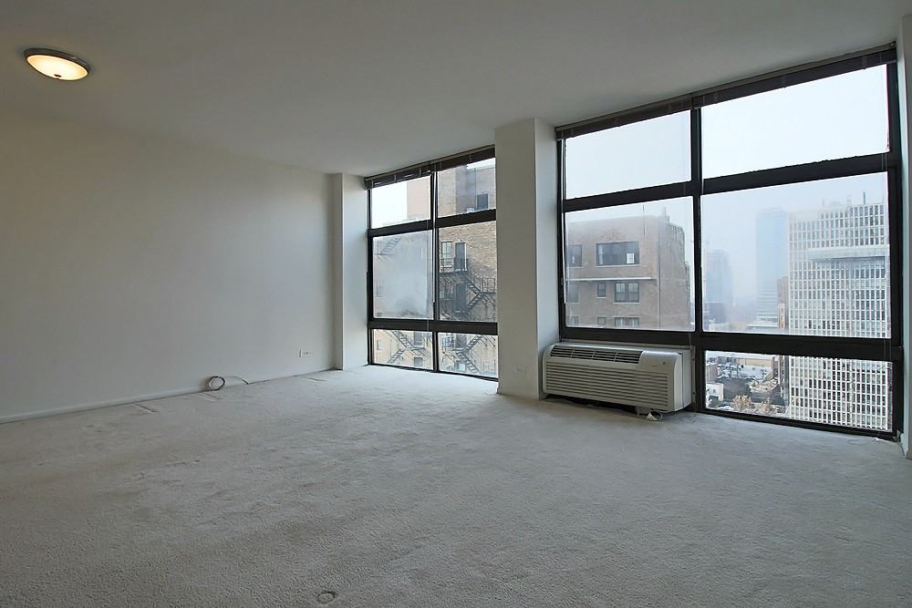 74 E Scott St #6505J - Photo 3 of 12