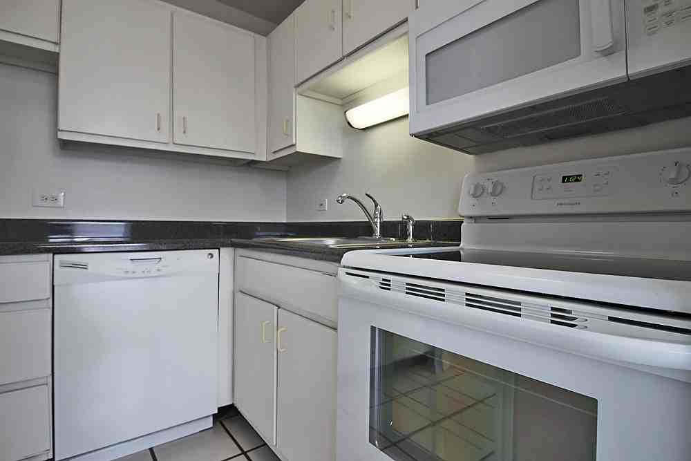 74 E Scott St #6505J - Photo 5 of 12