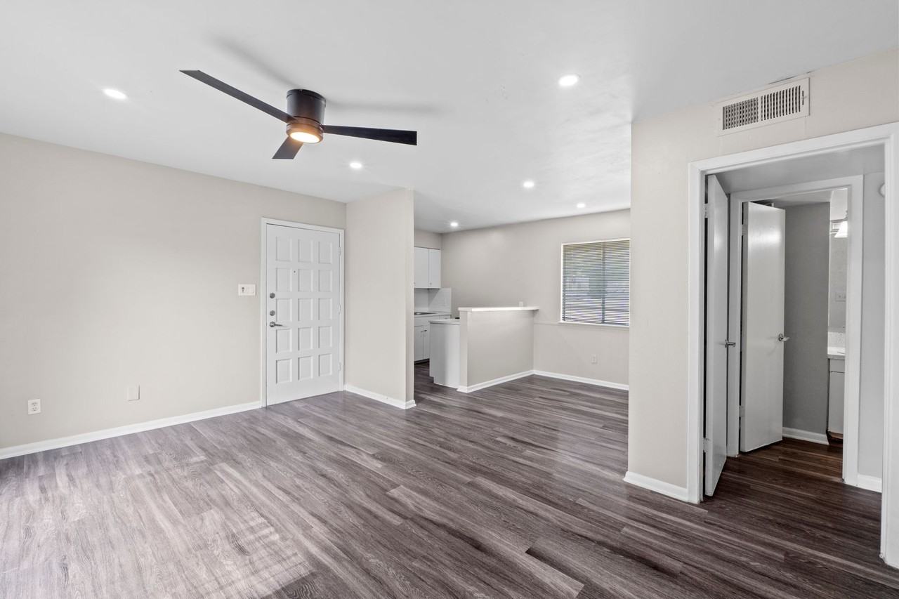 The Colony - Photo 5 of 50