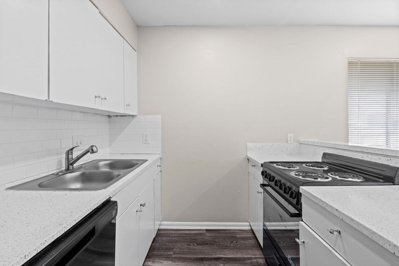 The Colony - Photo 5 of 47