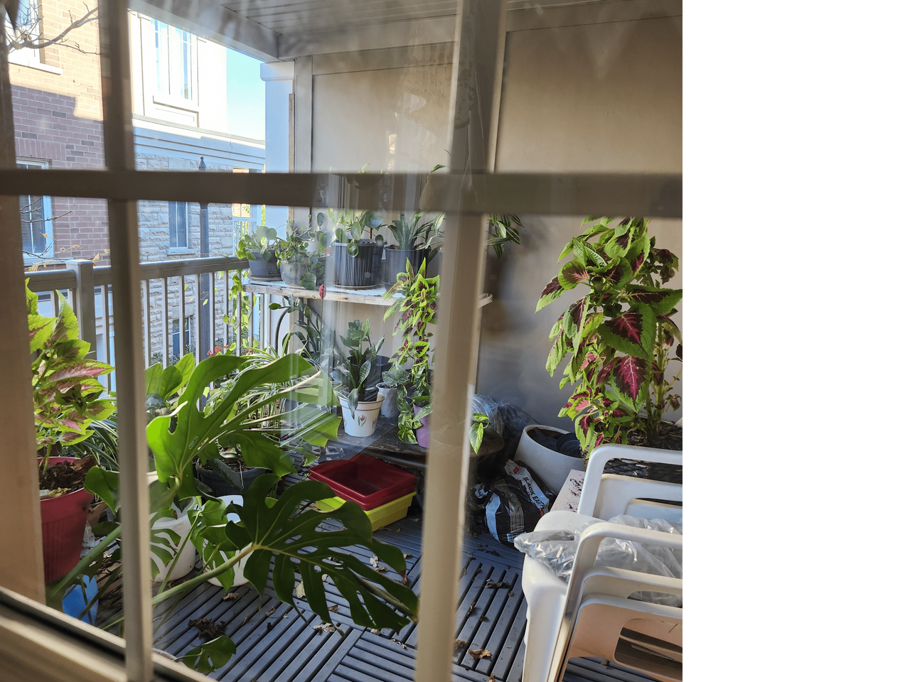 Sentinel Rd & Cook Rd - Photo 7 of 8