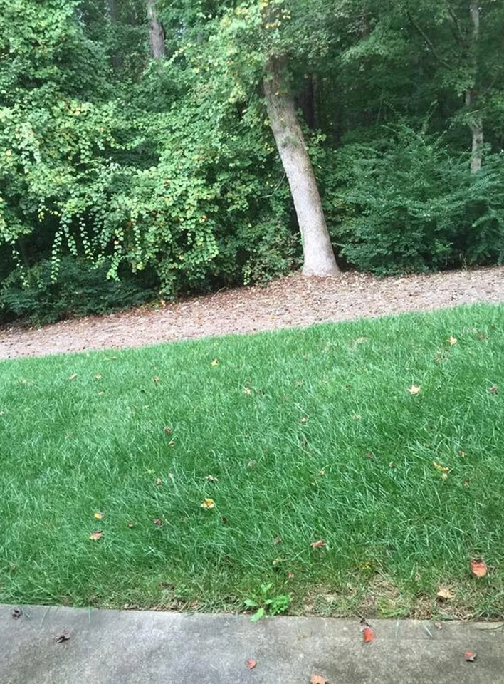 1161 Primrose View Circle Northwest #NA - Photo 6 of 7