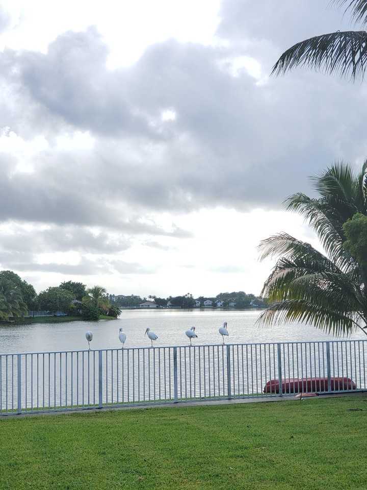 3266 W Buena Vista Dr #NA - Photo 4 of 16