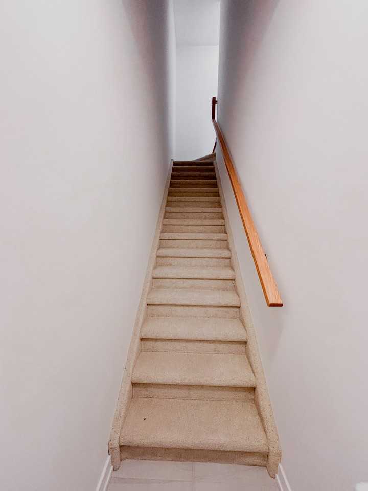 25 Palace Street #30 - Photo 4 of 45