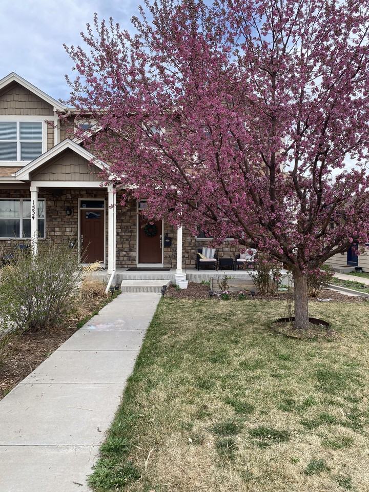 1532 Vrain St #NA - Photo 3 of 30