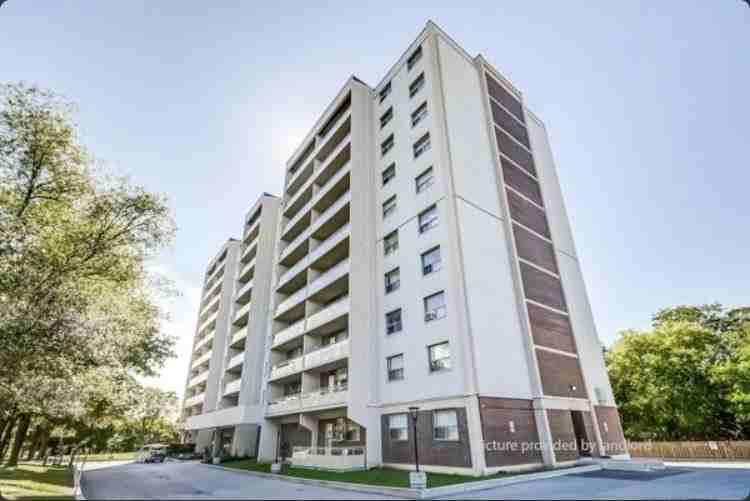 1780 Victoria Park Ave - Photo 3 of 14