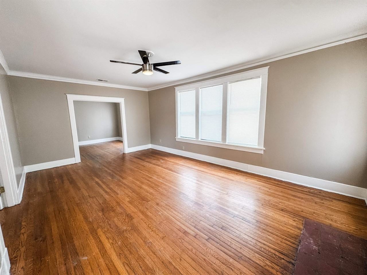 1659 Jackson Ave - Photo 2 of 15