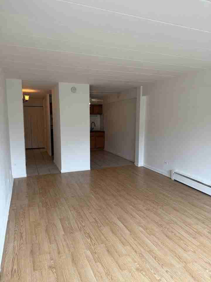 5906 N Sheridan Rd Apt 4f - Photo 5 of 15