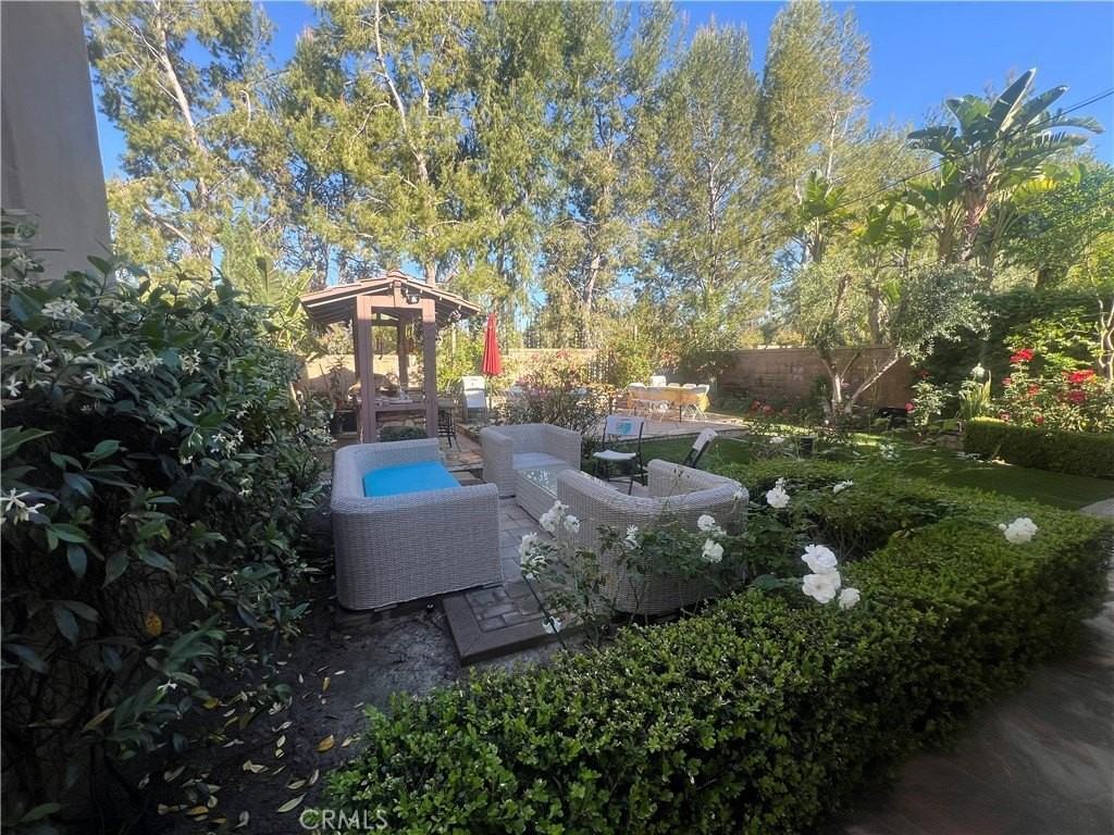 27 Tree Clover - Photo 2 of 35