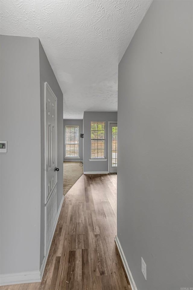 60 Wilhelmina Cv - Photo 3 of 18