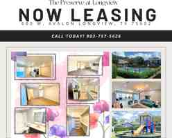 featured image of The Preserve Apartments