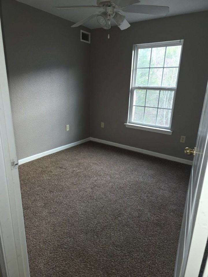 Blue Springs - Photo 6 of 8