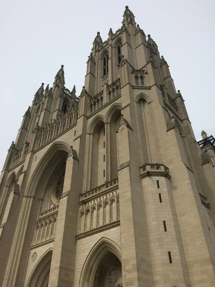 The Elaine - Photo 7 of 23