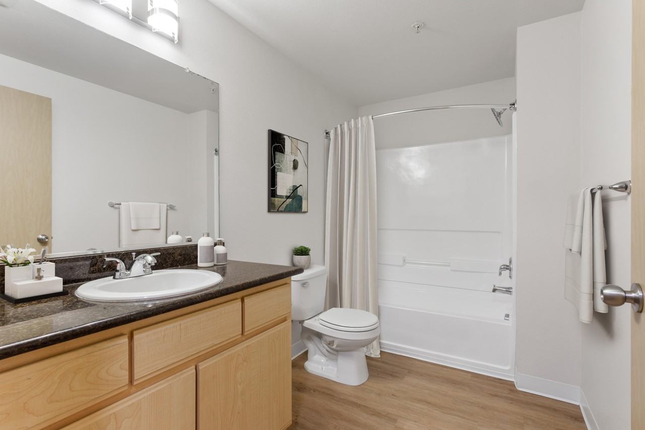 Reflections at the Park - Photo 3 of 24