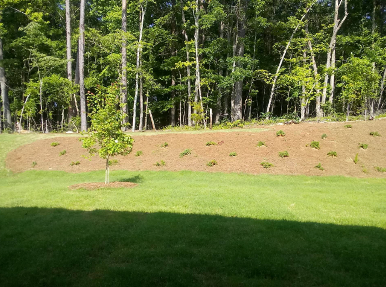 124 Vivian Ln - Photo 3 of 36