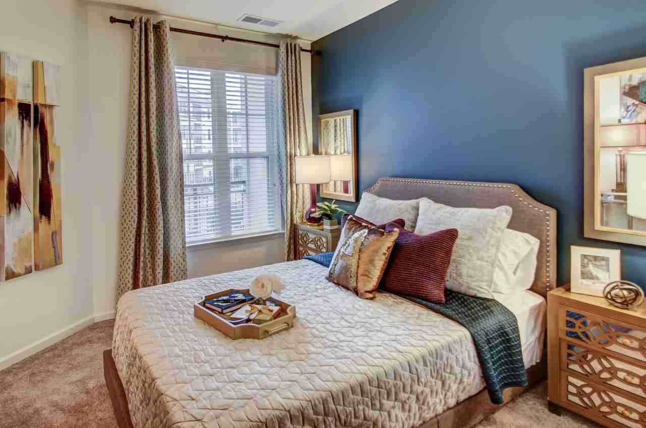 Allure Apollo - Photo 5 of 50
