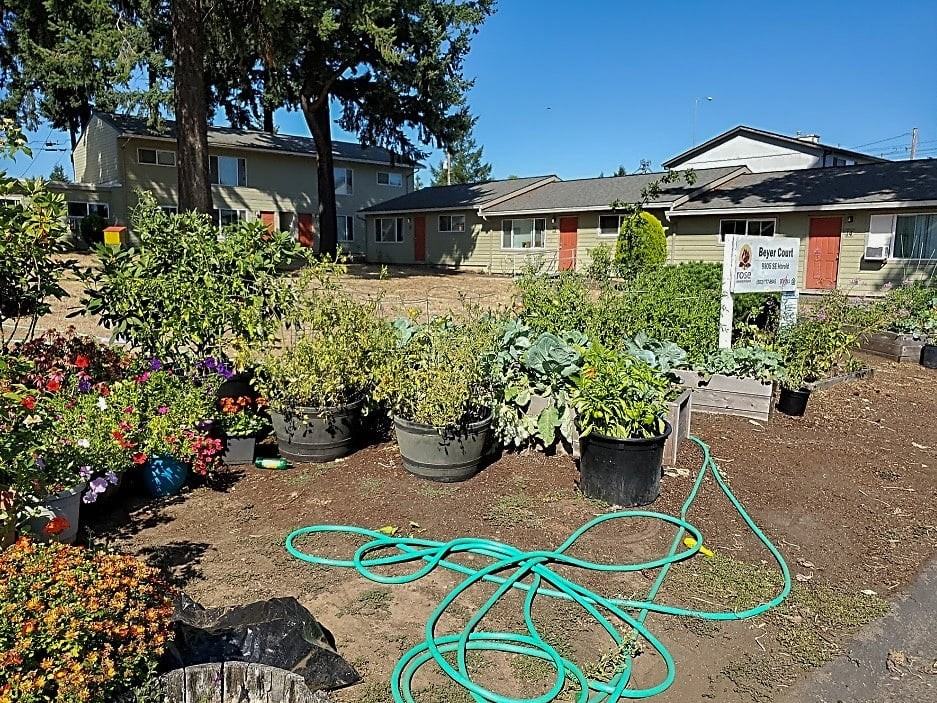Beyer Court - Photo 4 of 7
