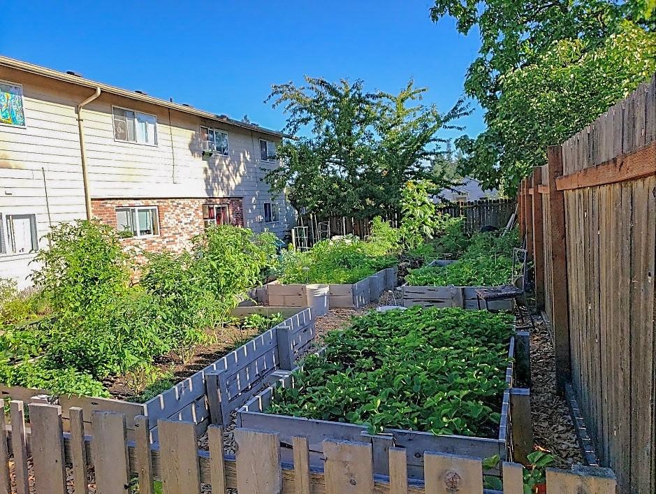 Johnson Creek Commons - Photo 3 of 13