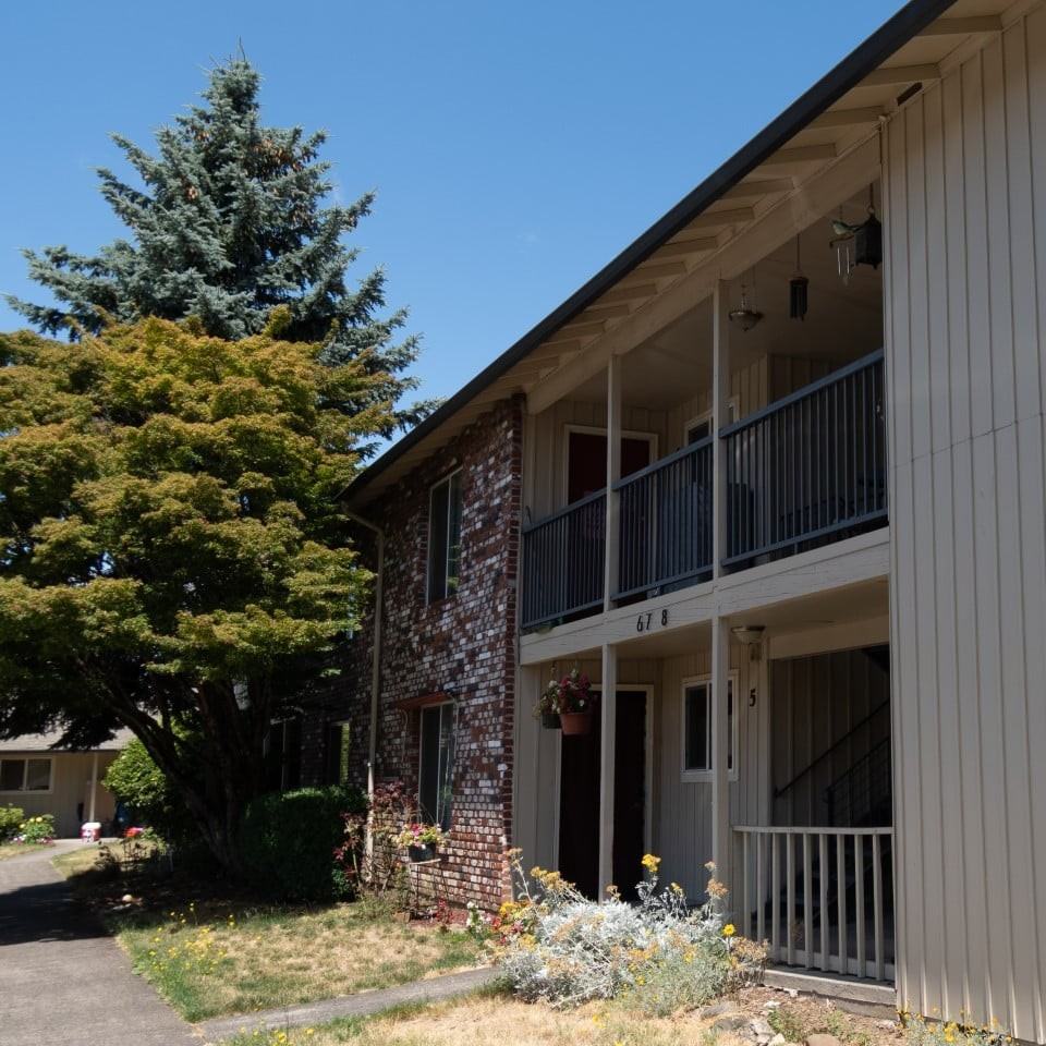 Country Squire - Photo 2 of 13