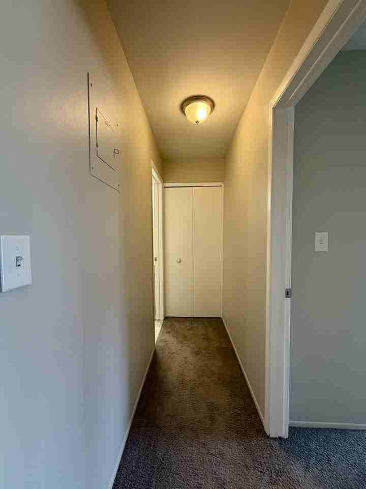 Sycamore PH - Photo 5 of 34