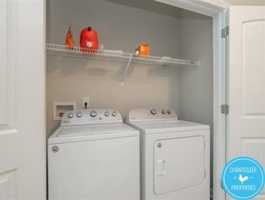 featured image of Wolf Cub Ct