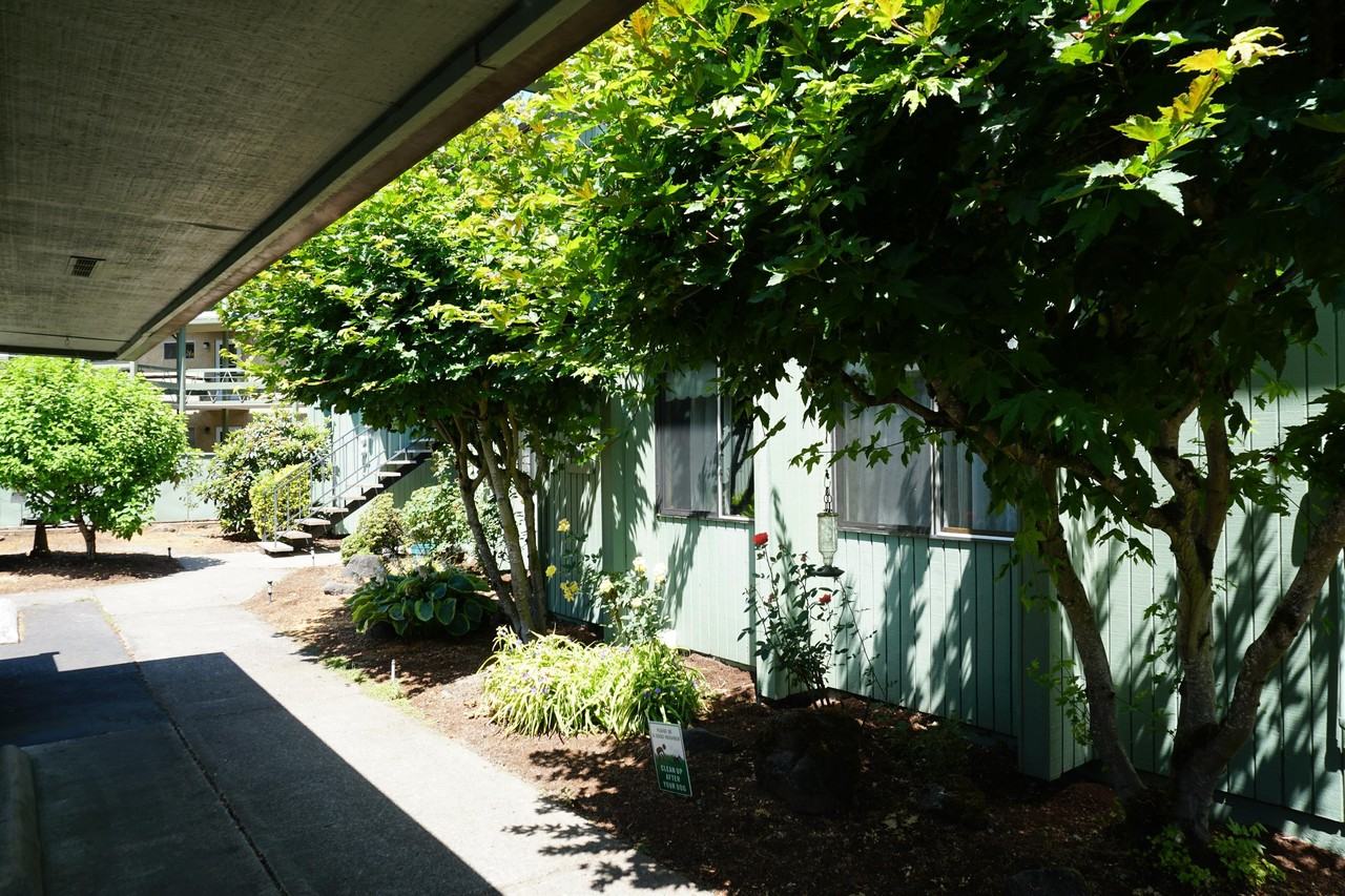 Oakwood Apartments - Photo 7 of 9