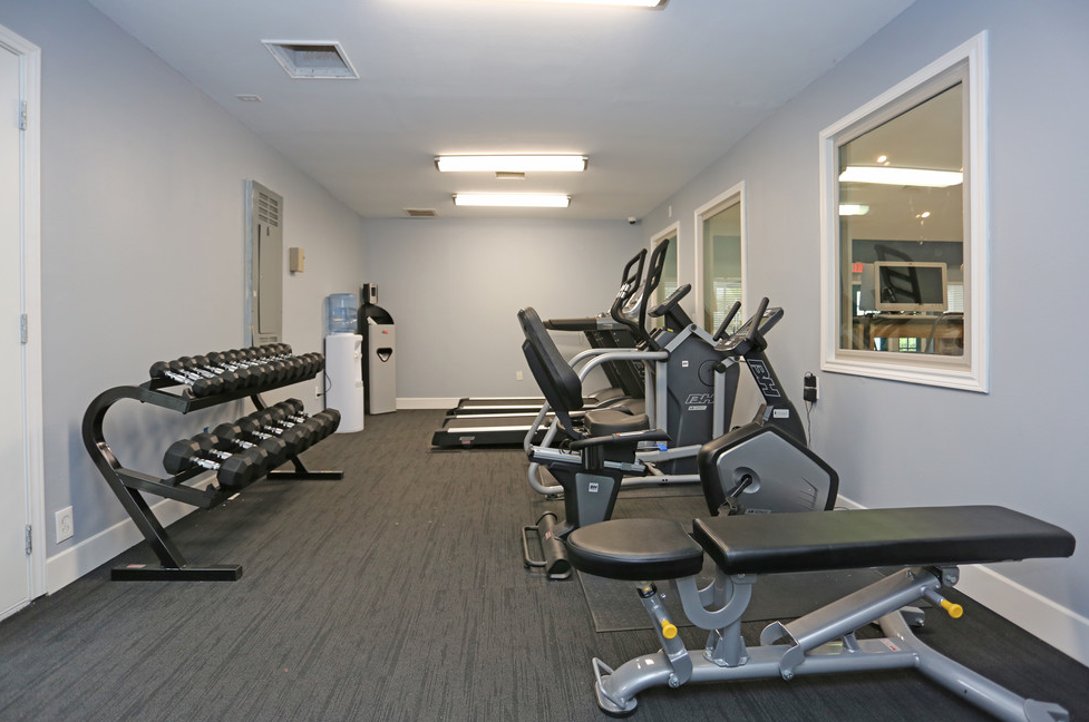 Valley Island Palms (Talmud Torah) - Photo 4 of 50