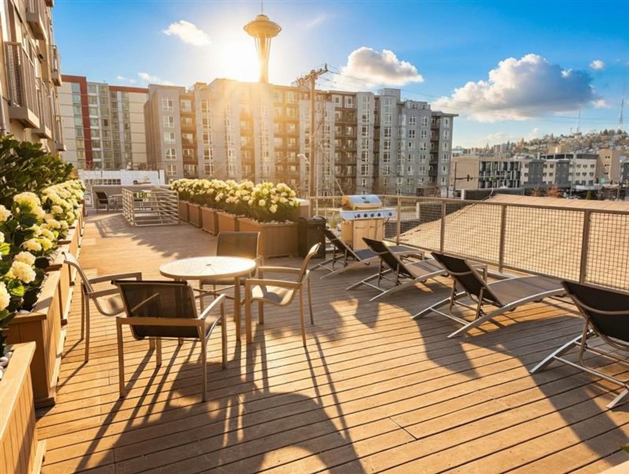 Borealis Apartments - Photo 4 of 21