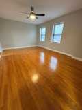 Washington Pine - Photo 1 of 1