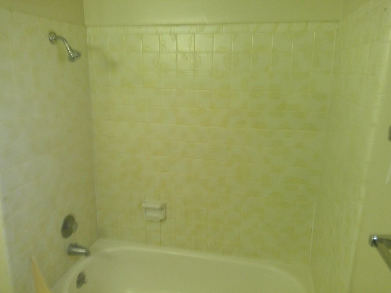 102 Garfield St #20 - Photo 7 of 17