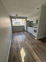 featured image of 117 W Walnut St #1B