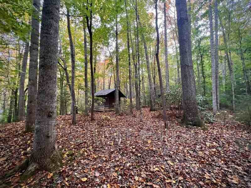 575 Beaverdam Rd - Photo 6 of 23