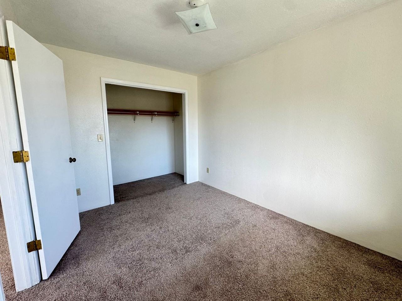 1712 Walnut St - Photo 6 of 19