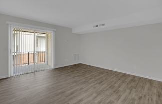 Capri - Photo 1 of 1