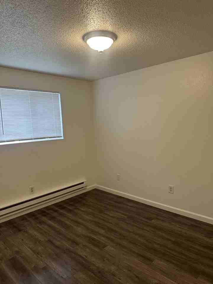 503 Roe St #NA - Photo 5 of 13