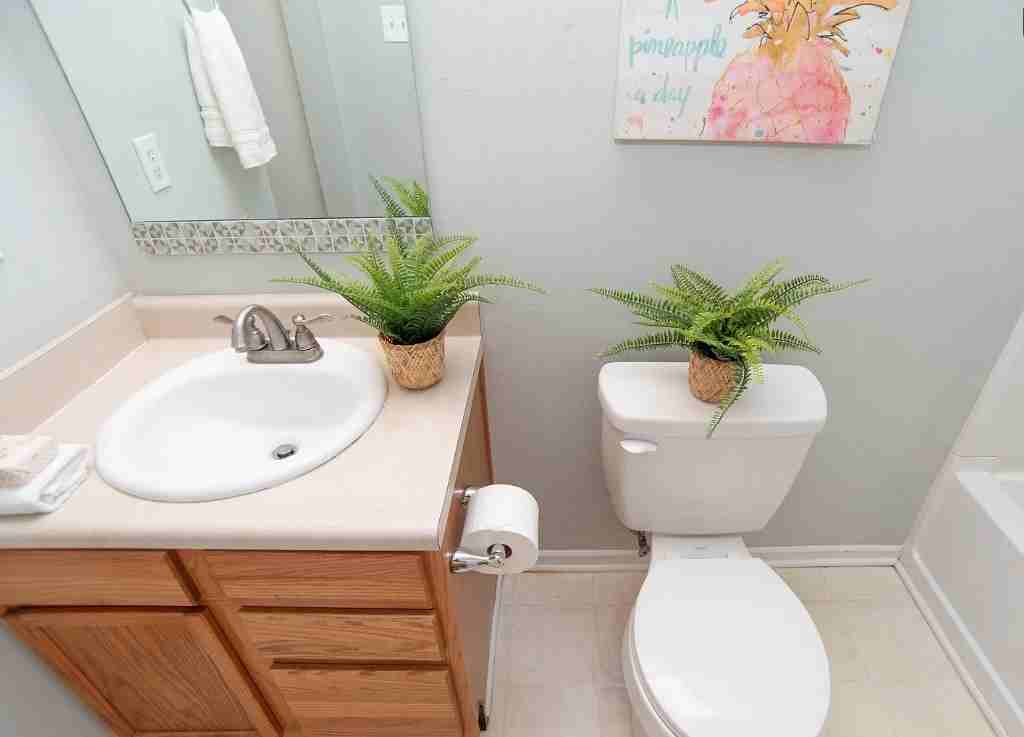 3017 Everbloom Way #NA - Photo 6 of 13