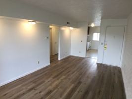 featured image of 1407 Pickett St