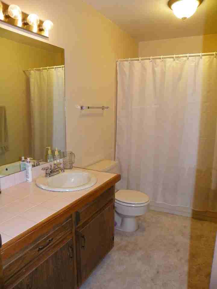 1711 Palmer Dr - Photo 5 of 14