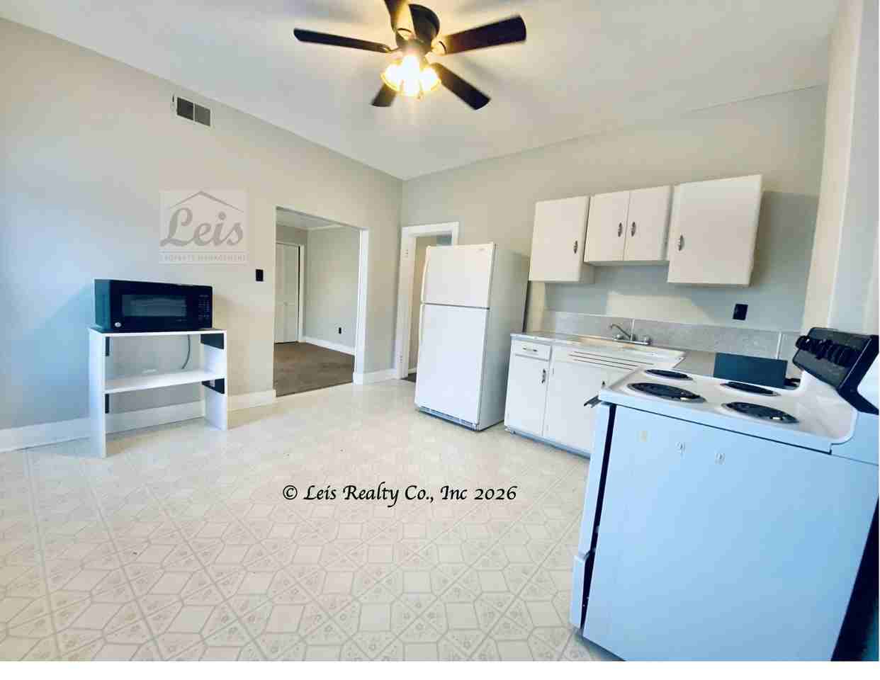 43 S Steffin St #1 - Photo 4 of 18