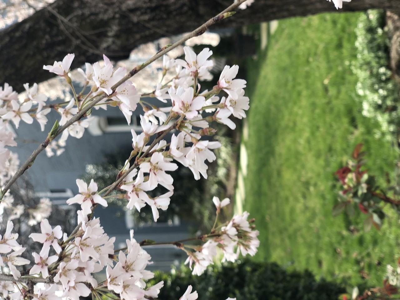 1130 Constitution Ave Ne #1 - Photo 6 of 8