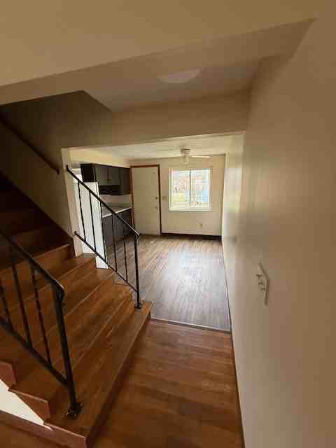 4535 Reinbeau Dr #4533 - Photo 5 of 18