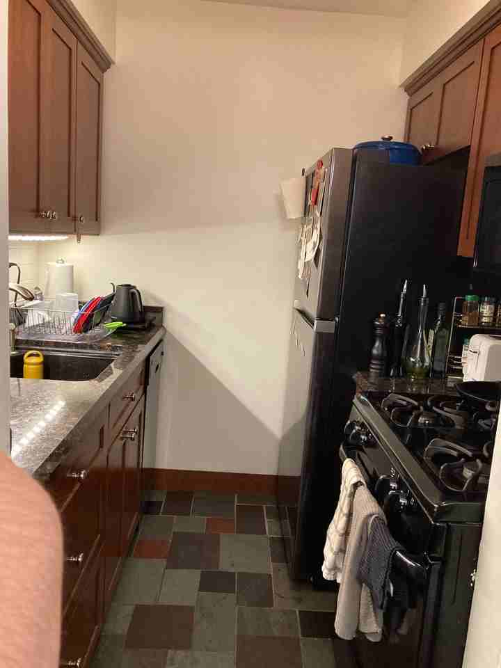 509 Longshore Drive - 1Apt A #1 - Photo 7 of 14