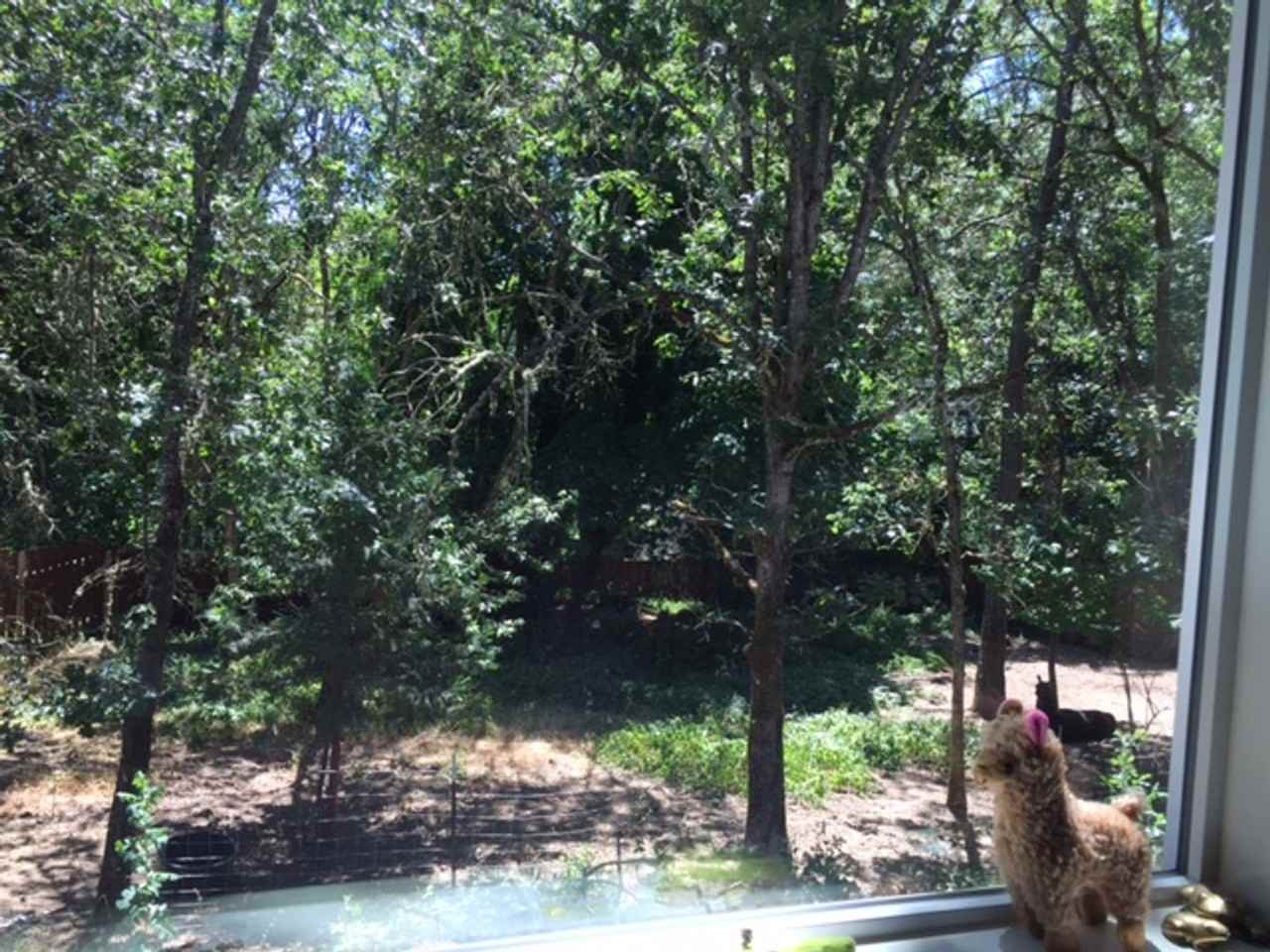 753 Nw Kinney St - Photo 3 of 8