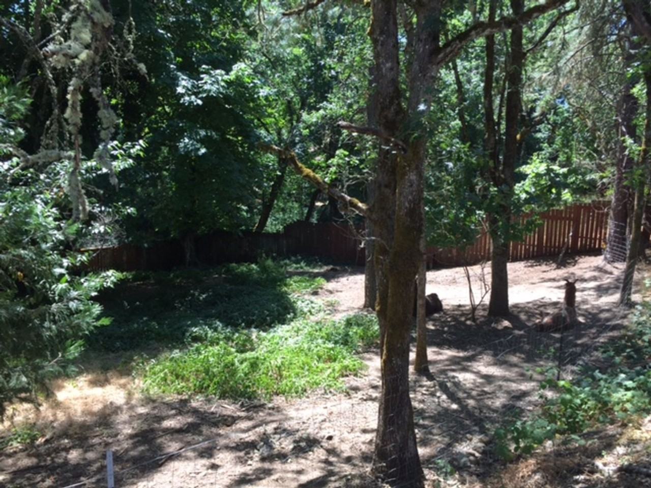 753 Nw Kinney St - Photo 7 of 8